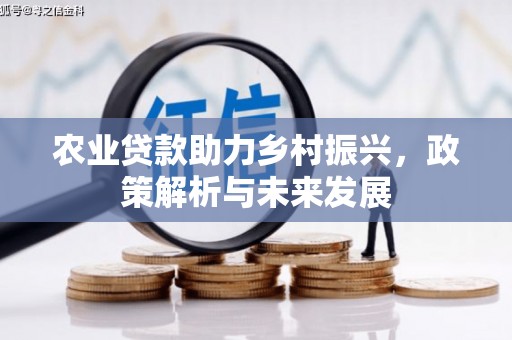 达孜农业贷款助力乡村振兴，政策解析与未来发展
