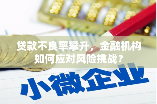 达孜贷款不良率攀升，金融机构如何应对风险挑战？