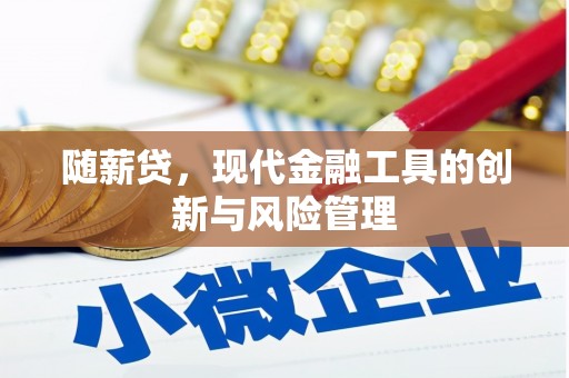 达孜随薪贷，现代金融工具的创新与风险管理