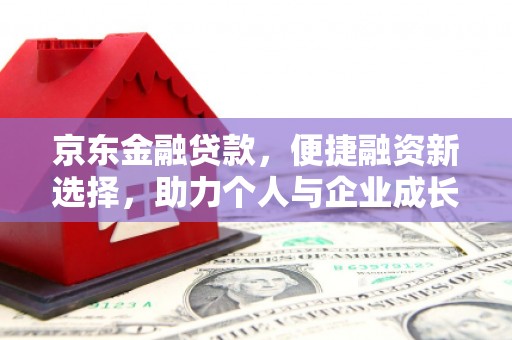 达孜京东金融贷款，便捷融资新选择，助力个人与企业成长