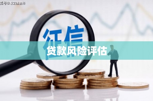 达孜贷款风险评估