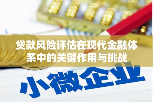 达孜贷款风险评估在现代金融体系中的关键作用与挑战