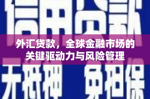 达孜外汇贷款，全球金融市场的关键驱动力与风险管理