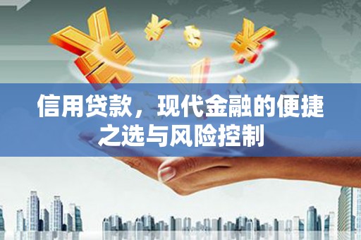 达孜信用贷款，现代金融的便捷之选与风险控制