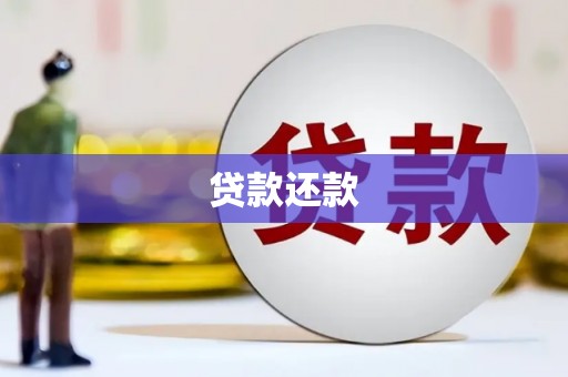 达孜贷款还款