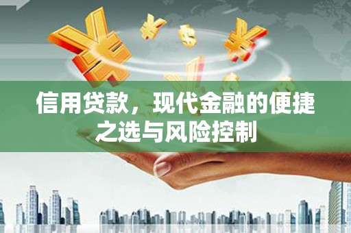 达孜信用贷款，现代金融的便捷之选与风险控制