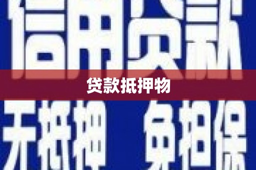达孜贷款抵押物