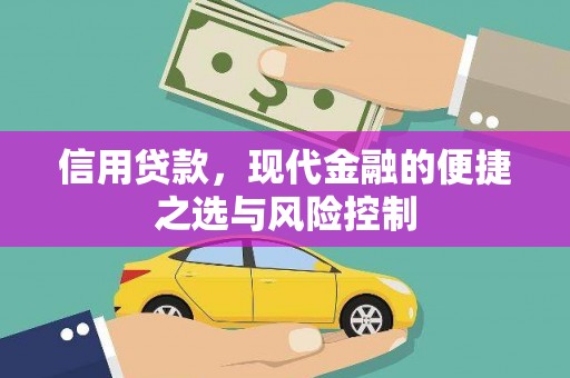 达孜信用贷款，现代金融的便捷之选与风险控制