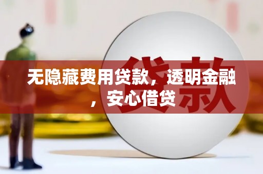 达孜无隐藏费用贷款，透明金融，安心借贷