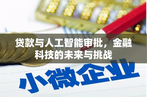 达孜贷款与人工智能审批，金融科技的未来与挑战