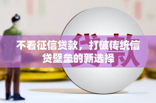 达孜不看征信贷款，打破传统信贷壁垒的新选择