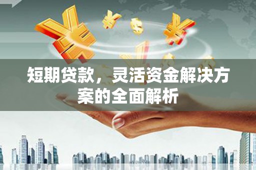 达孜短期贷款，灵活资金解决方案的全面解析