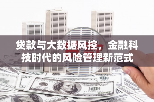 达孜贷款与大数据风控，金融科技时代的风险管理新范式