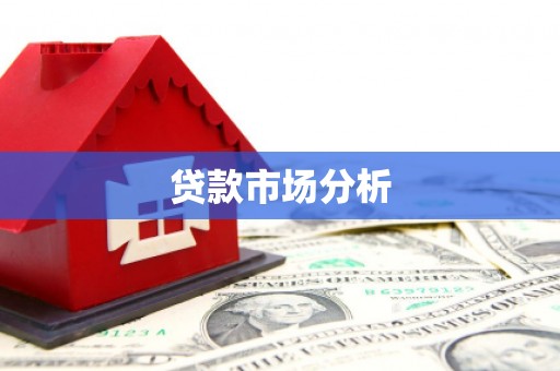 达孜贷款市场分析