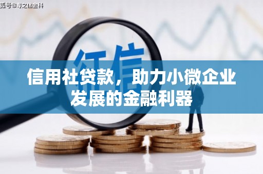 达孜信用社贷款，助力小微企业发展的金融利器