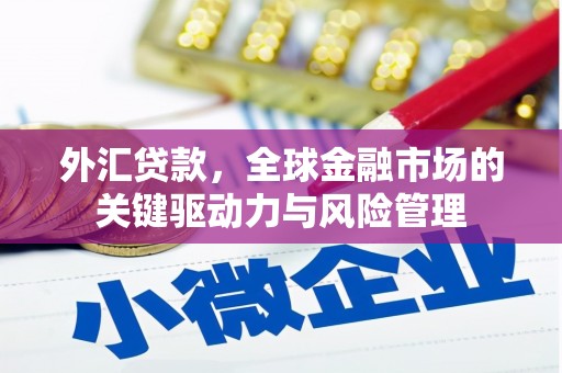 达孜外汇贷款，全球金融市场的关键驱动力与风险管理