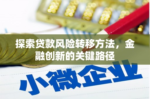 达孜探索贷款风险转移方法，金融创新的关键路径