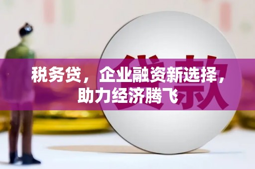 达孜税务贷，企业融资新选择，助力经济腾飞
