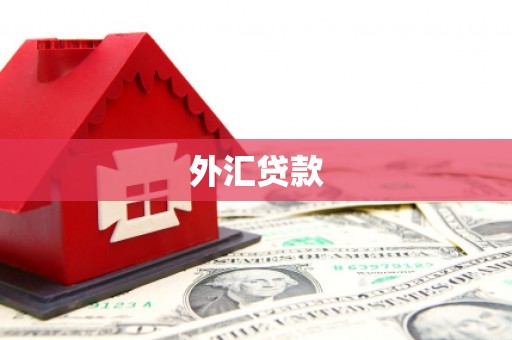 达孜外汇贷款