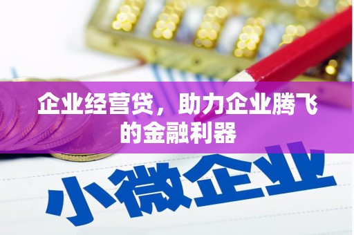 达孜企业经营贷，助力企业腾飞的金融利器