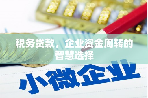 达孜税务贷款，企业资金周转的智慧选择