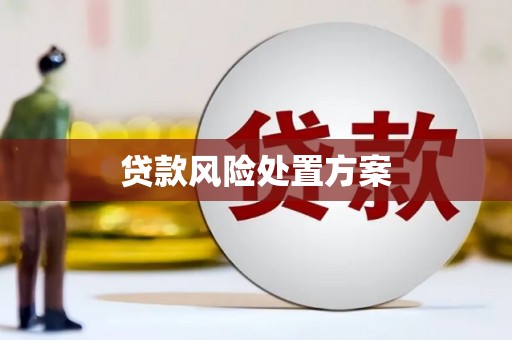 达孜贷款风险处置方案