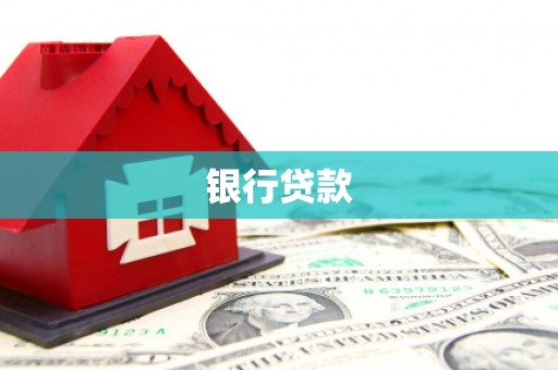 达孜银行贷款