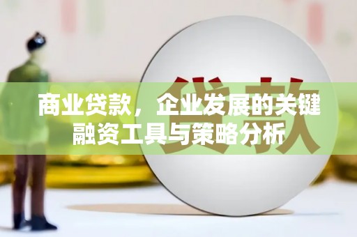 达孜商业贷款，企业发展的关键融资工具与策略分析