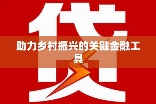 达孜助力乡村振兴的关键金融工具