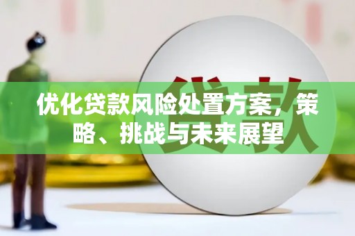 达孜优化贷款风险处置方案，策略、挑战与未来展望