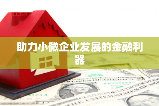 达孜助力小微企业发展的金融利器