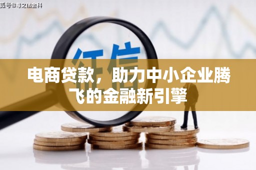 达孜电商贷款，助力中小企业腾飞的金融新引擎