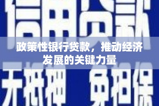 达孜政策性银行贷款，推动经济发展的关键力量
