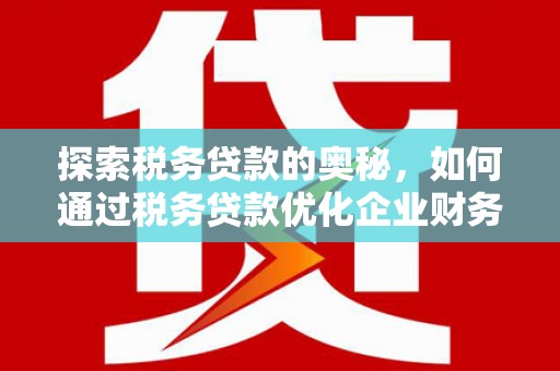 达孜探索税务贷款的奥秘，如何通过税务贷款优化企业财务