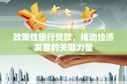 达孜政策性银行贷款，推动经济发展的关键力量