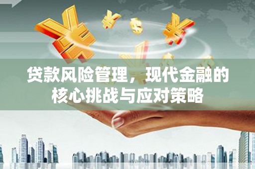 达孜贷款风险管理，现代金融的核心挑战与应对策略