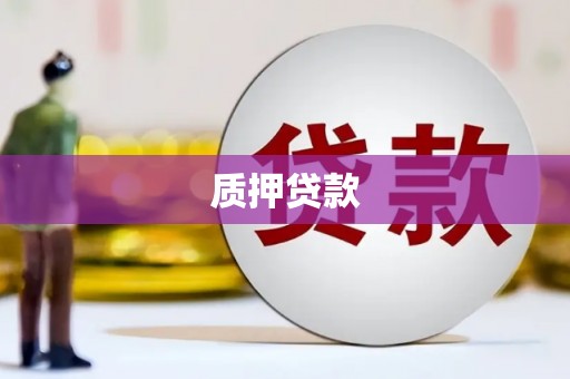 达孜质押贷款