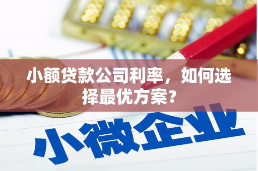 达孜小额贷款公司利率，如何选择最优方案？