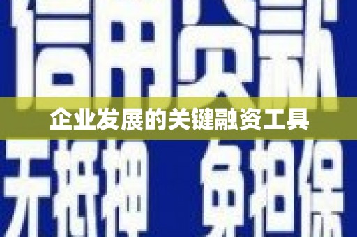 达孜企业发展的关键融资工具
