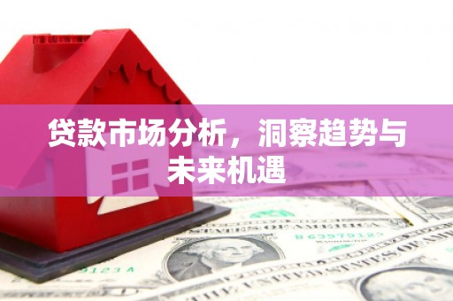 达孜贷款市场分析，洞察趋势与未来机遇