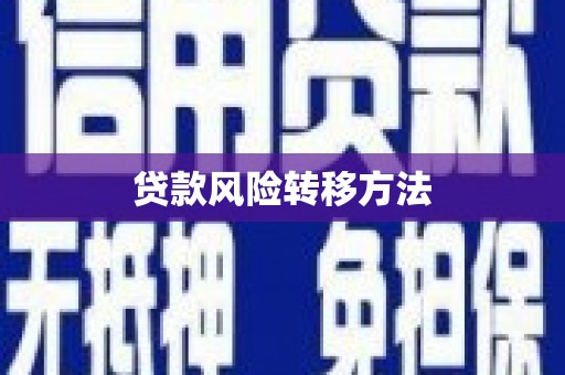达孜贷款风险转移方法