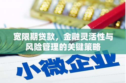 达孜宽限期贷款，金融灵活性与风险管理的关键策略