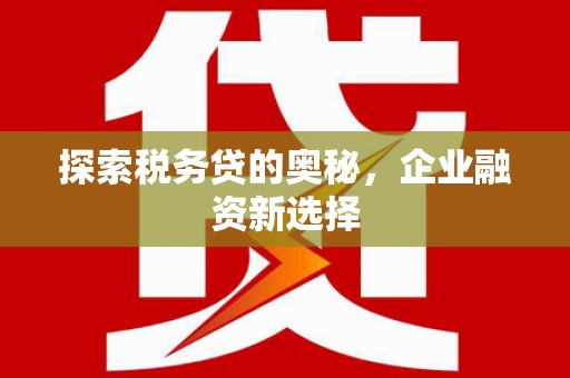 达孜探索税务贷的奥秘，企业融资新选择