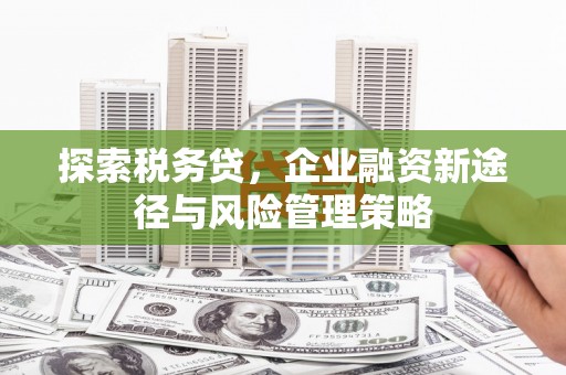 达孜探索税务贷，企业融资新途径与风险管理策略