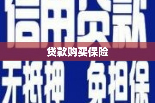 达孜贷款购买保险