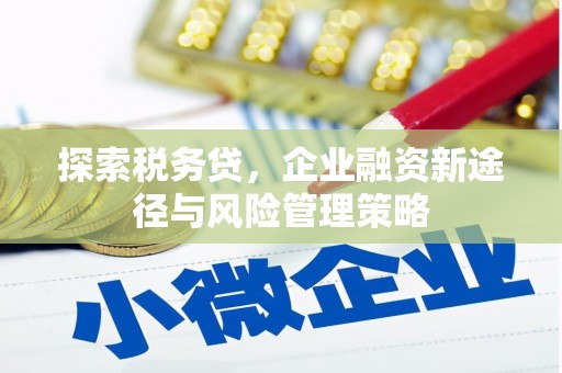 达孜探索税务贷，企业融资新途径与风险管理策略