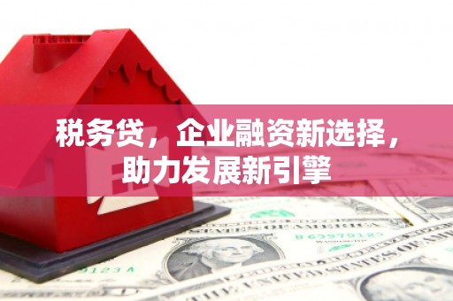 达孜税务贷，企业融资新选择，助力发展新引擎