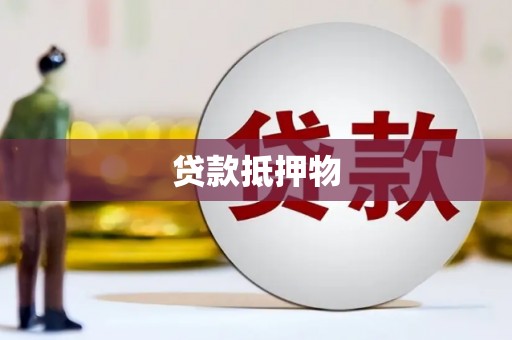 达孜贷款抵押物