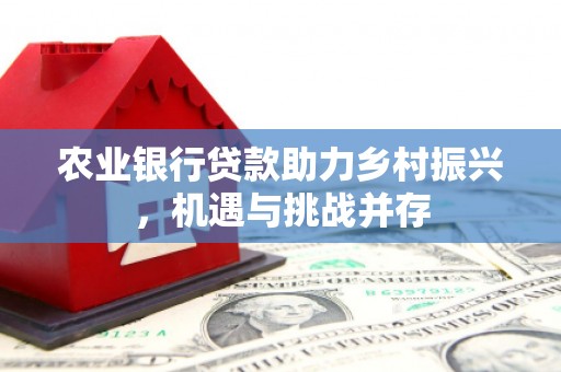达孜农业银行贷款助力乡村振兴，机遇与挑战并存