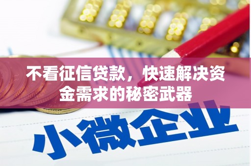 达孜不看征信贷款，快速解决资金需求的秘密武器